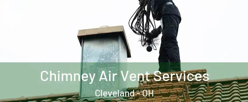  Chimney Air Vent Services Cleveland - OH