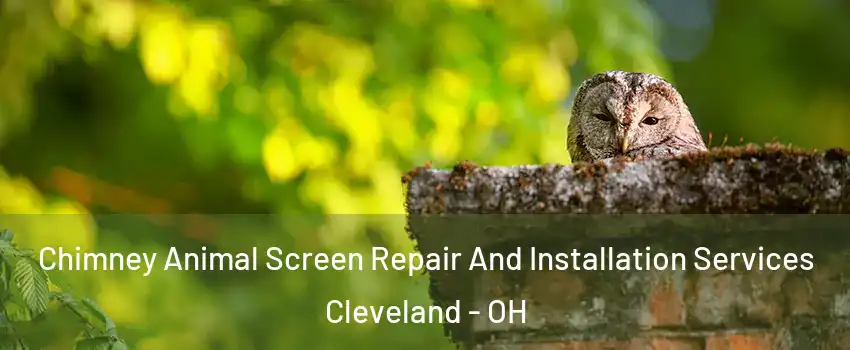  Chimney Animal Screen Repair And Installation Services Cleveland - OH