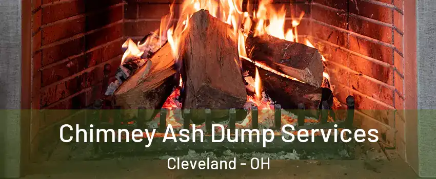  Chimney Ash Dump Services Cleveland - OH