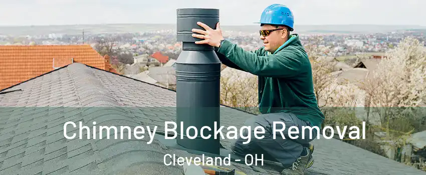  Chimney Blockage Removal Cleveland - OH