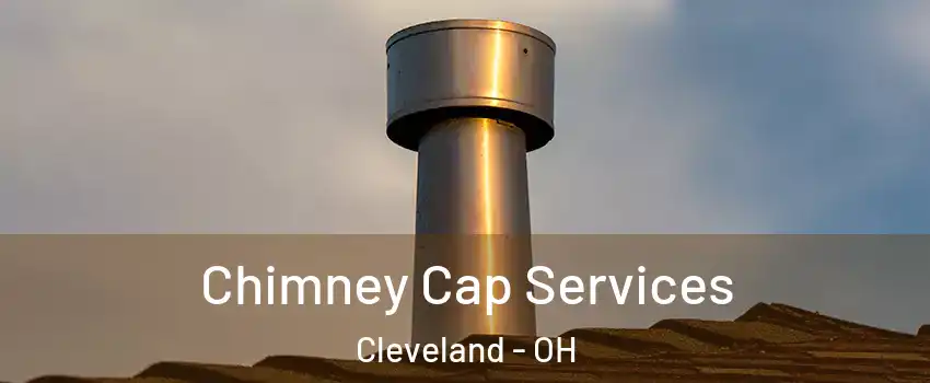  Chimney Cap Services Cleveland - OH