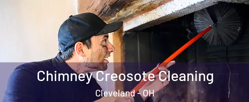 Chimney Creosote Cleaning Cleveland - OH