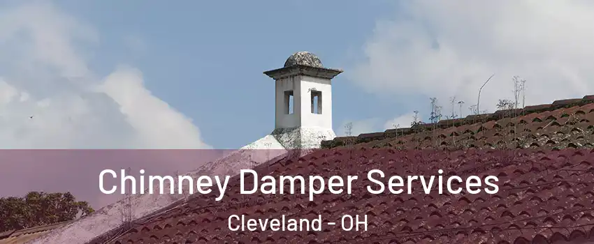  Chimney Damper Services Cleveland - OH