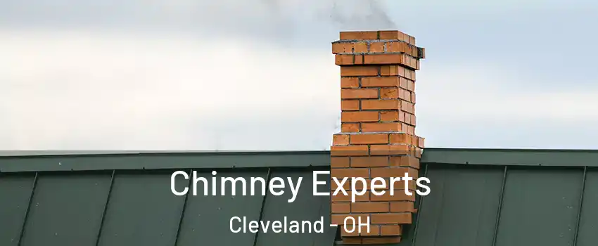 Chimney Experts Cleveland - OH