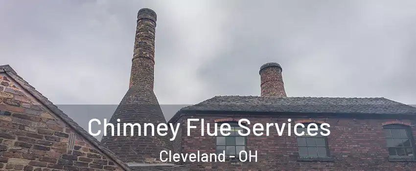  Chimney Flue Services Cleveland - OH