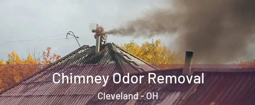 Chimney Odor Removal Cleveland - OH