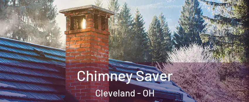  Chimney Saver Cleveland - OH