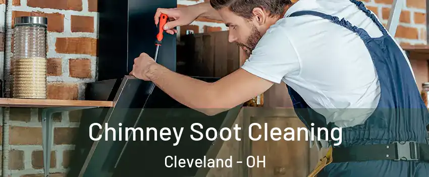  Chimney Soot Cleaning Cleveland - OH