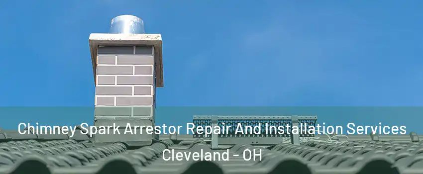  Chimney Spark Arrestor Repair And Installation Services Cleveland - OH