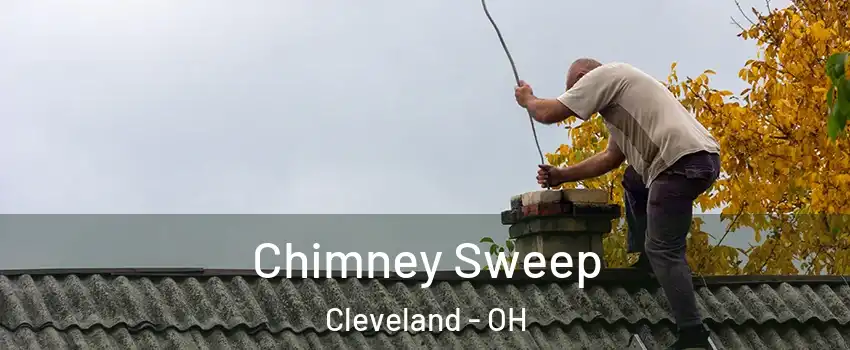 Chimney Sweep Cleveland - OH
