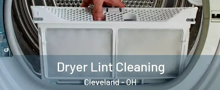  Dryer Lint Cleaning Cleveland - OH