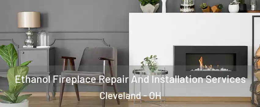  Ethanol Fireplace Repair And Installation Services Cleveland - OH