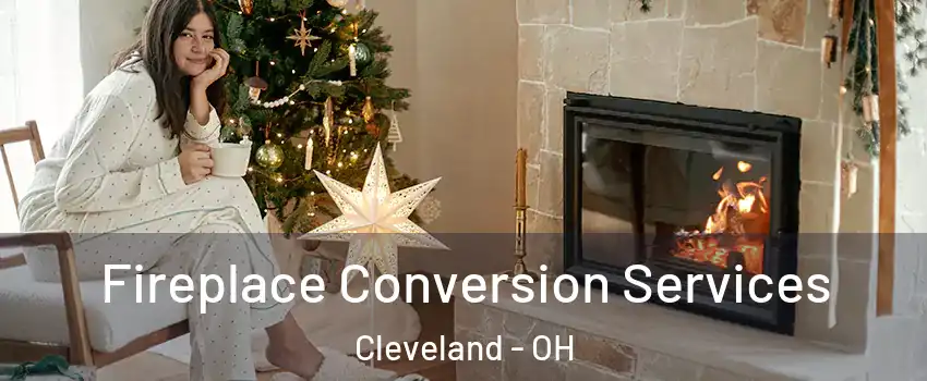  Fireplace Conversion Services Cleveland - OH