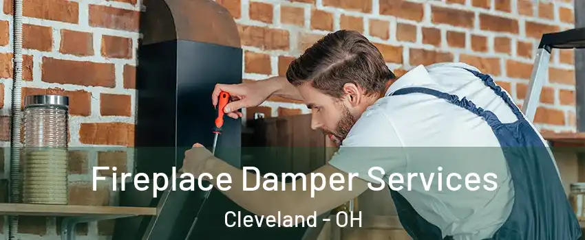  Fireplace Damper Services Cleveland - OH