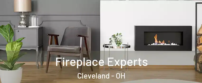  Fireplace Experts Cleveland - OH