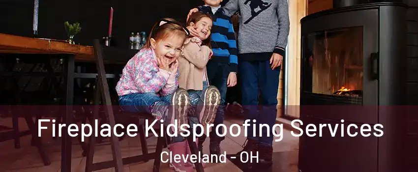  Fireplace Kidsproofing Services Cleveland - OH