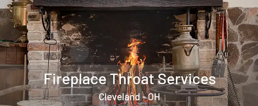  Fireplace Throat Services Cleveland - OH