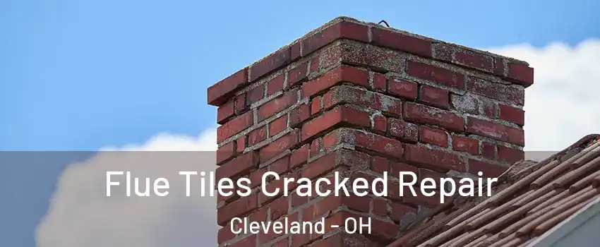  Flue Tiles Cracked Repair Cleveland - OH