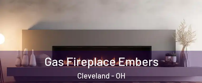  Gas Fireplace Embers Cleveland - OH