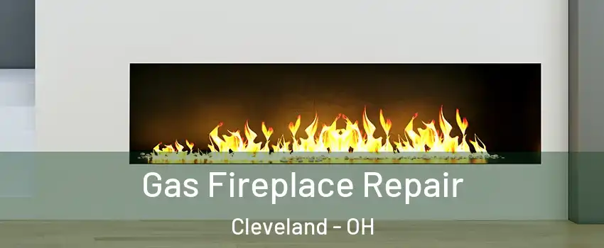  Gas Fireplace Repair Cleveland - OH