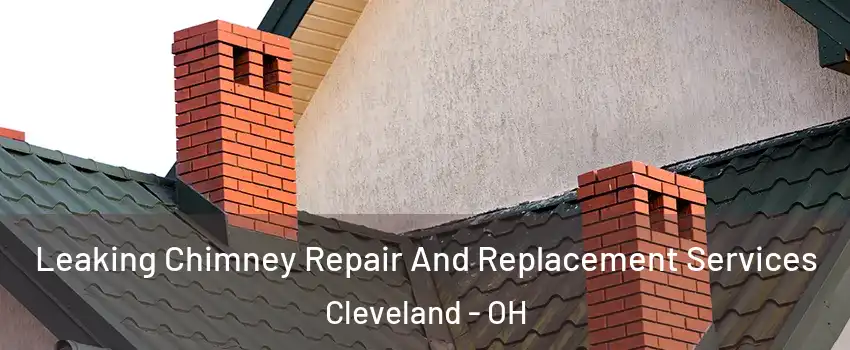  Leaking Chimney Repair And Replacement Services Cleveland - OH