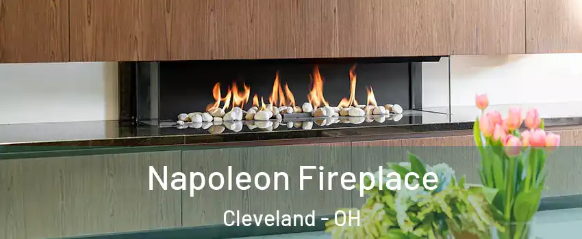  Napoleon Fireplace Cleveland - OH