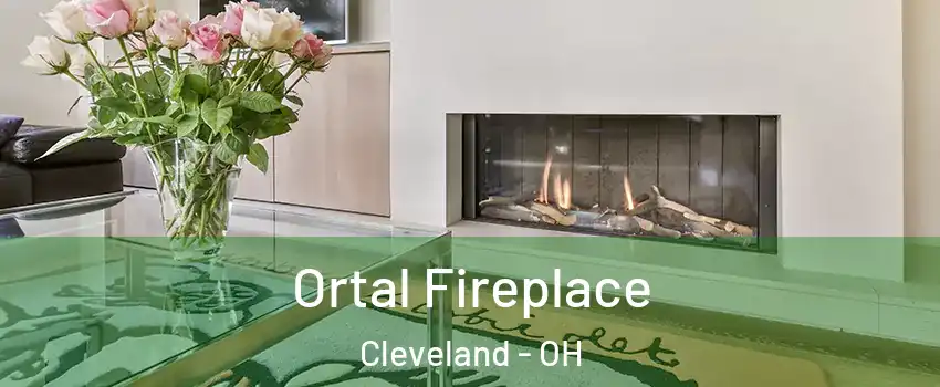 Ortal Fireplace Cleveland - OH